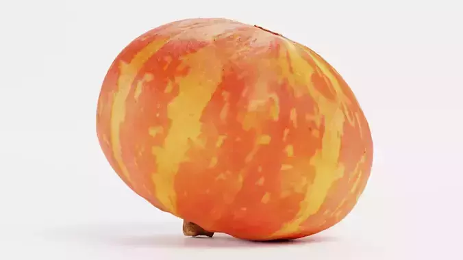 Pumpkin V5 - Realistic Orange Striped Hokkaido Squash 3D model 7