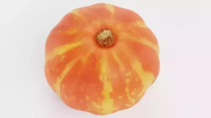 Pumpkin V5 - Realistic Orange Striped Hokkaido Squash 3D model 4