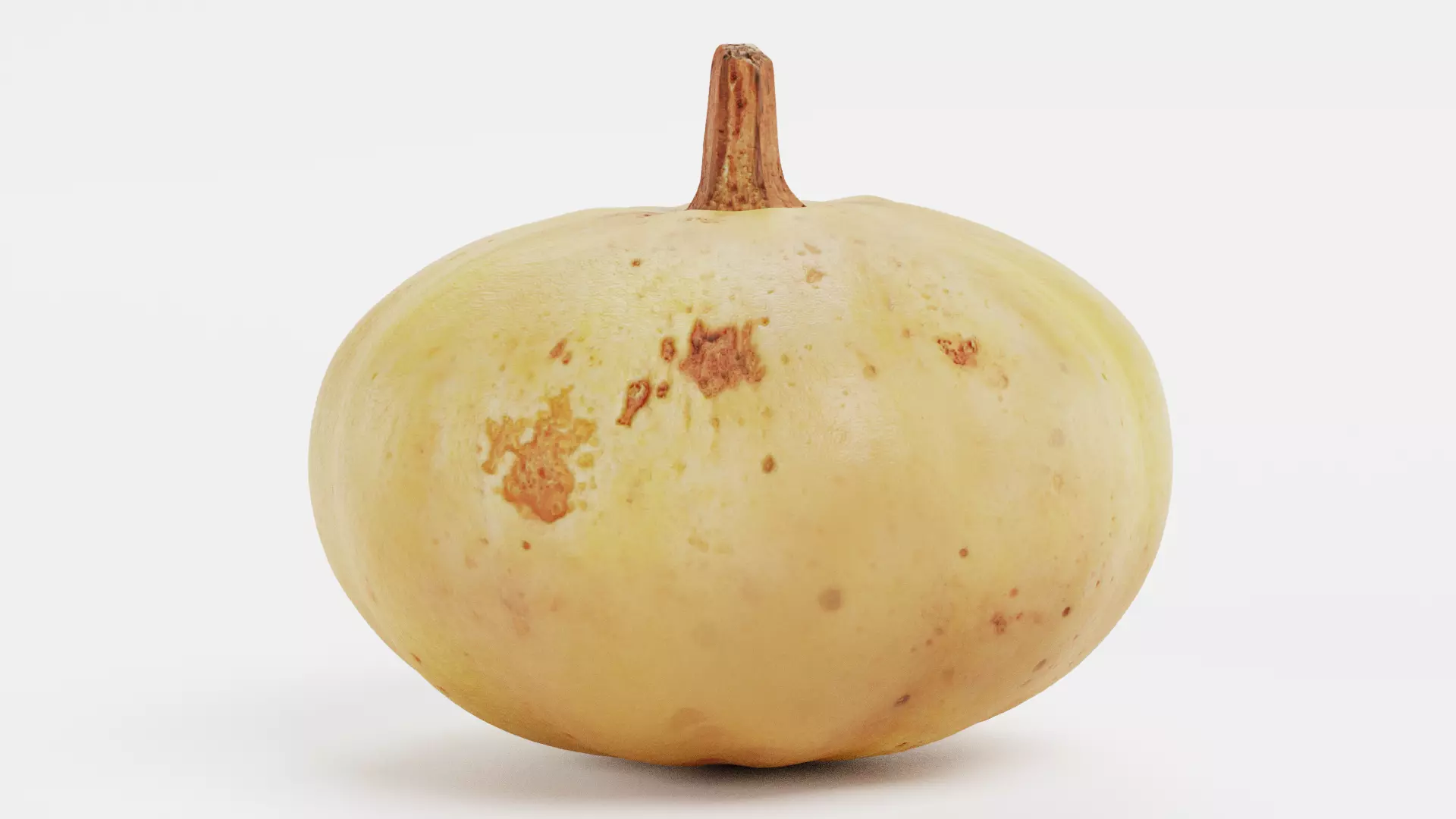 -Pumpkin V6- 3D model_0