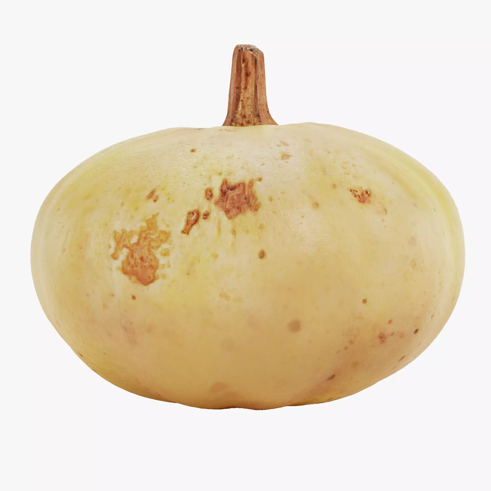 -Pumpkin V6- 3D model_11