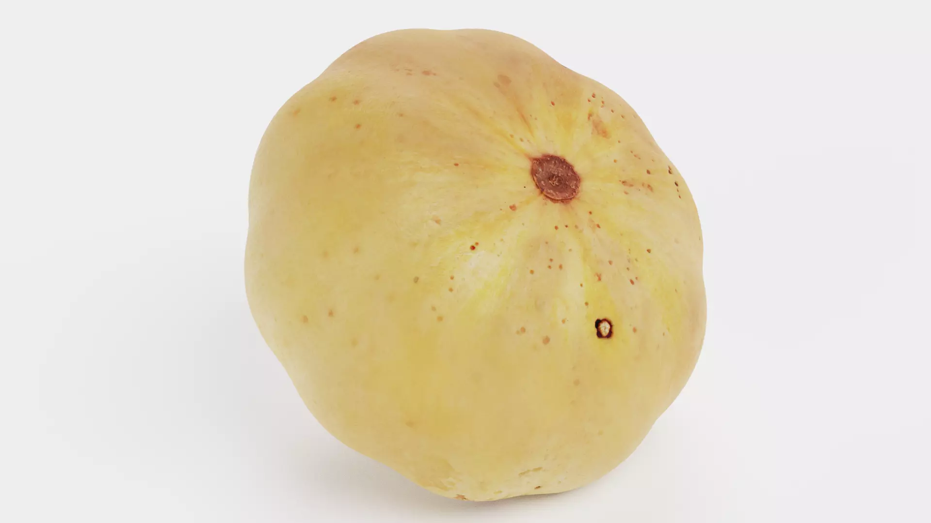 -Pumpkin V6- 3D model_5