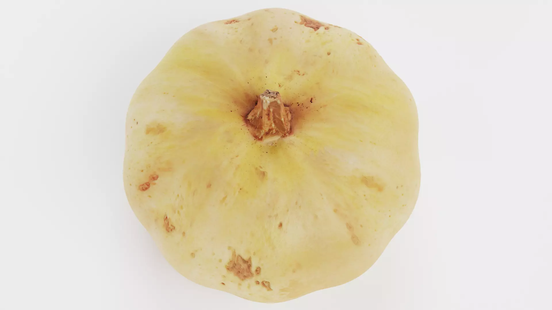 -Pumpkin V6- 3D model_3