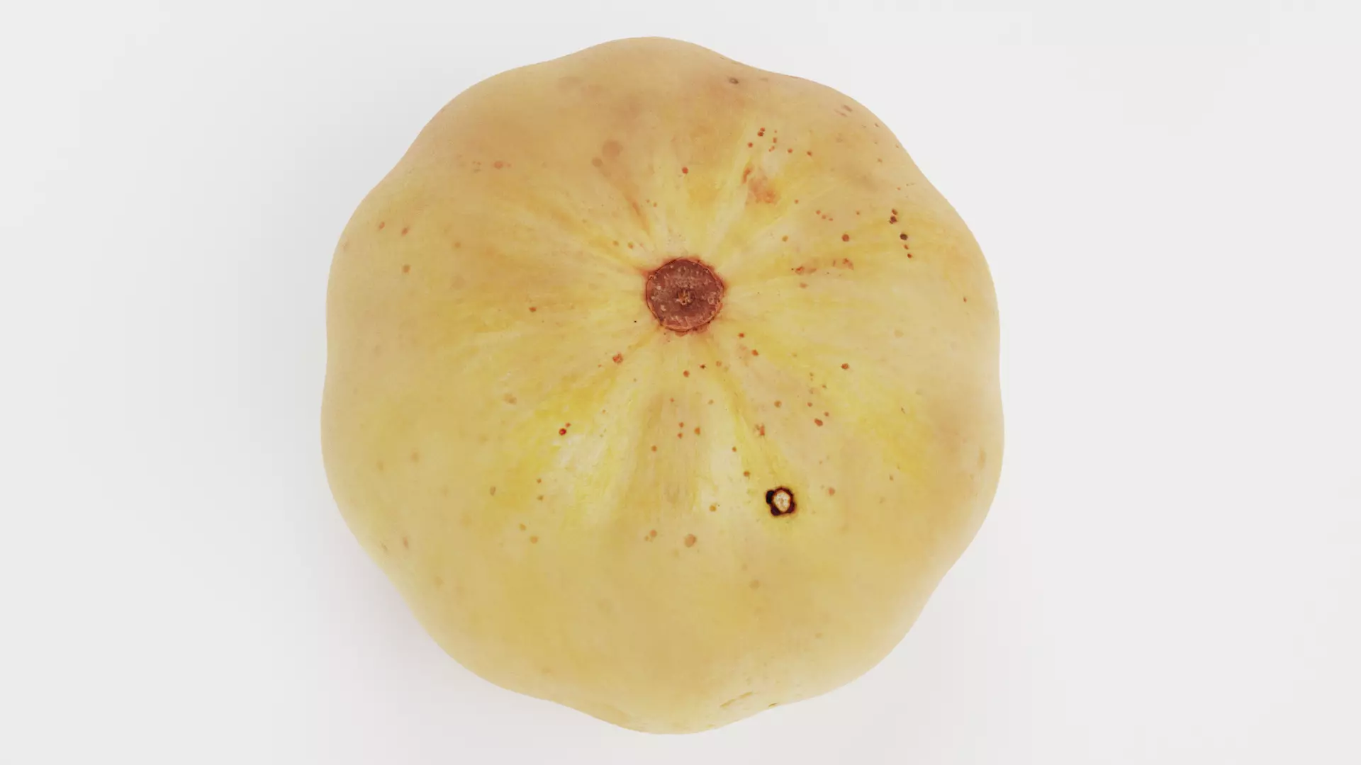 -Pumpkin V6- 3D model_4