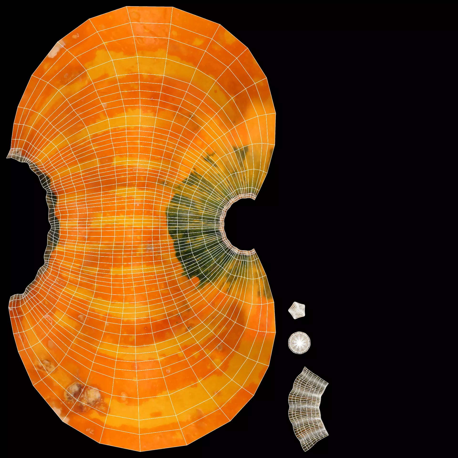 -Pumpkins- 3D model_12