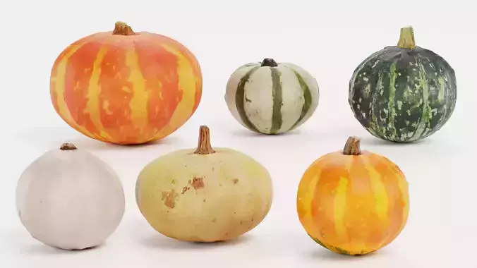 Pumpkins - 6 Assorted Realistic Squash Varieties 3D model 5