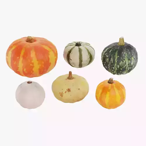 Pumpkins - 6 Assorted Realistic Squash Varieties 3D model