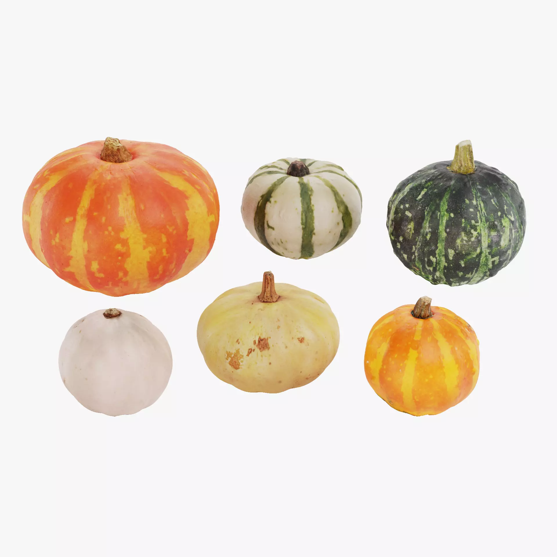Pumpkins - 6 Assorted Realistic Squash Varieties 3D model