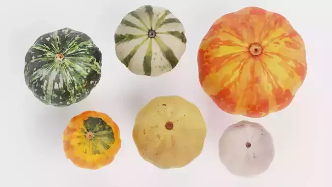 Pumpkins - 6 Assorted Realistic Squash Varieties 3D model 3