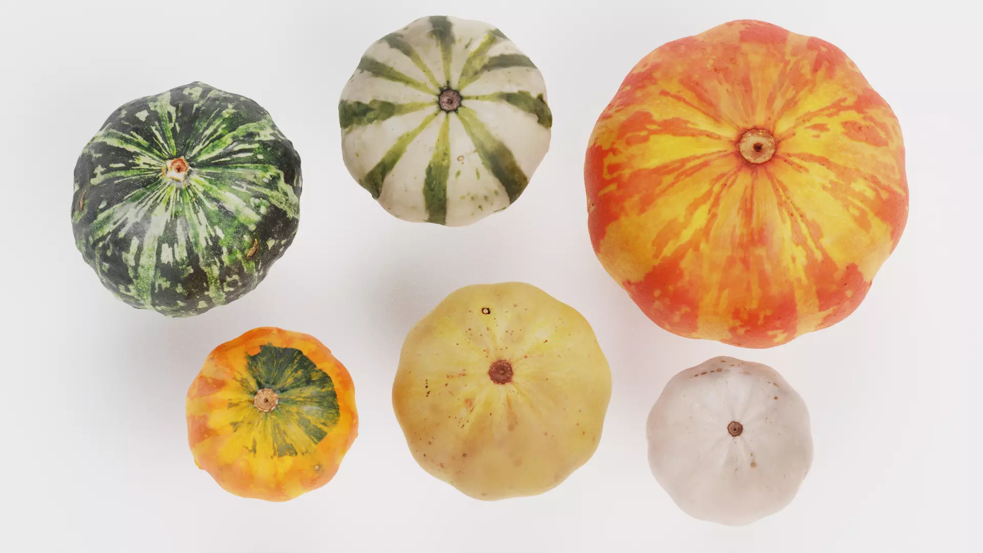 -Pumpkins- 3D model_2