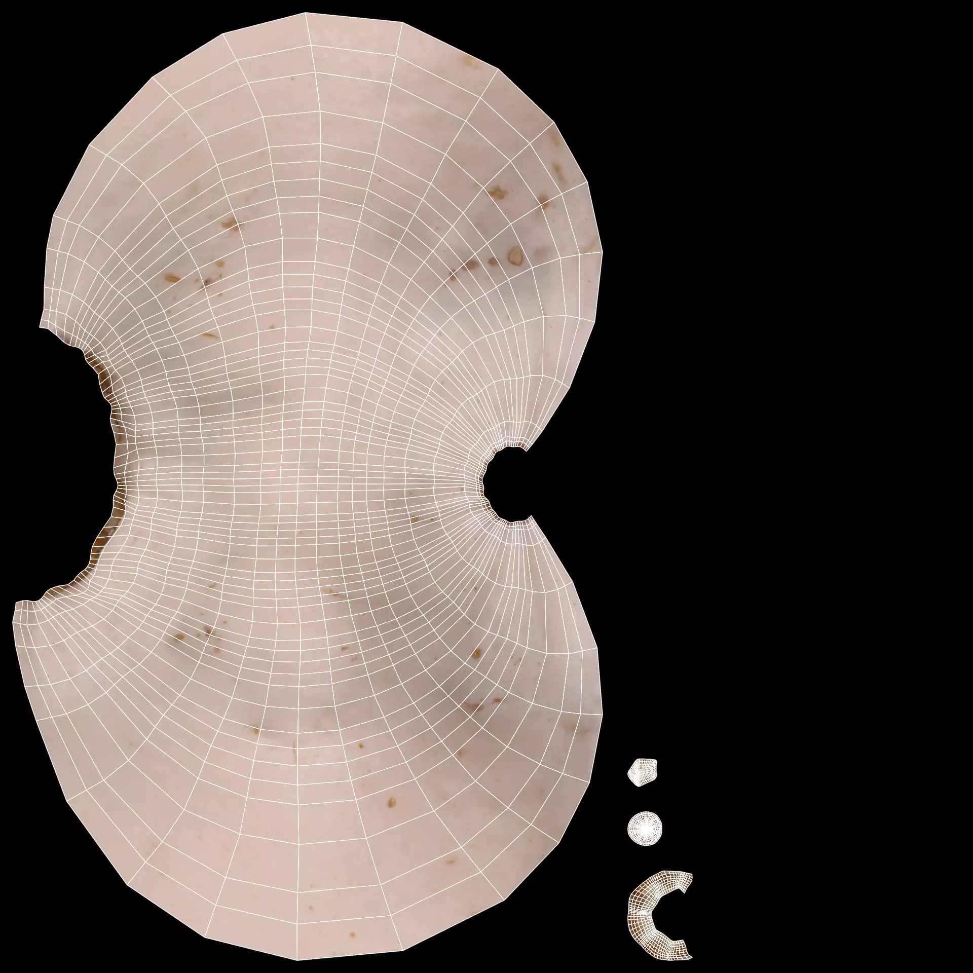 -Pumpkins- 3D model_15