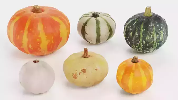 Pumpkins - 6 Assorted Realistic Squash Varieties 3D model 7