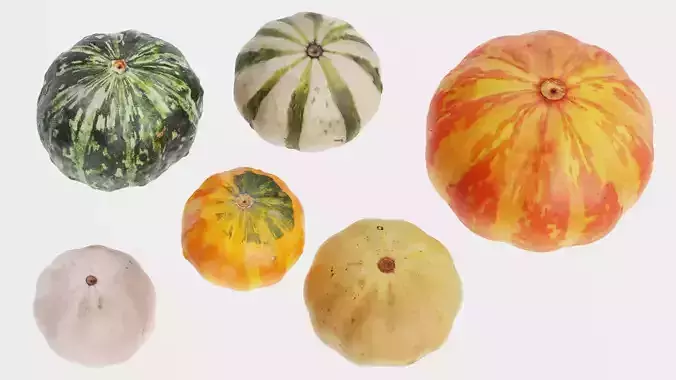Pumpkins - 6 Assorted Realistic Squash Varieties 3D model 4