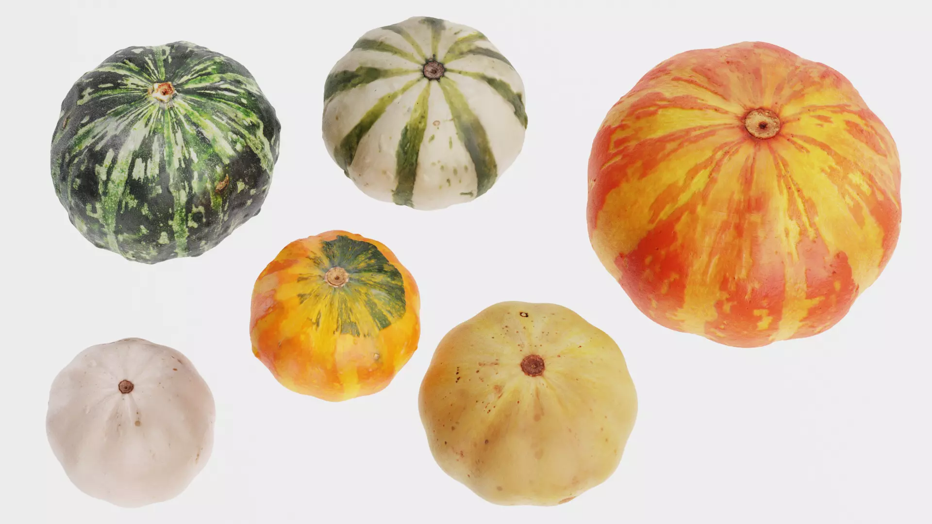 -Pumpkins- 3D model_3