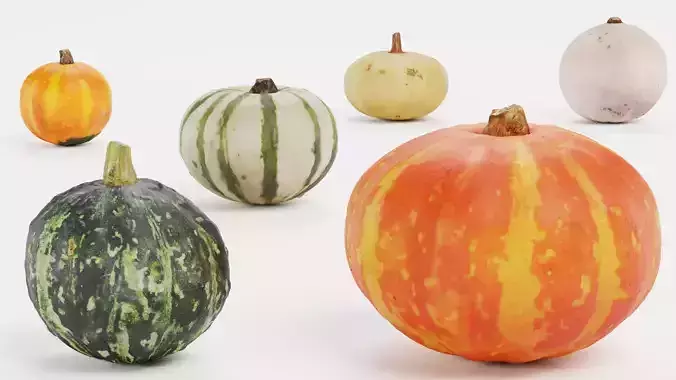 Pumpkins - 6 Assorted Realistic Squash Varieties 3D model 6