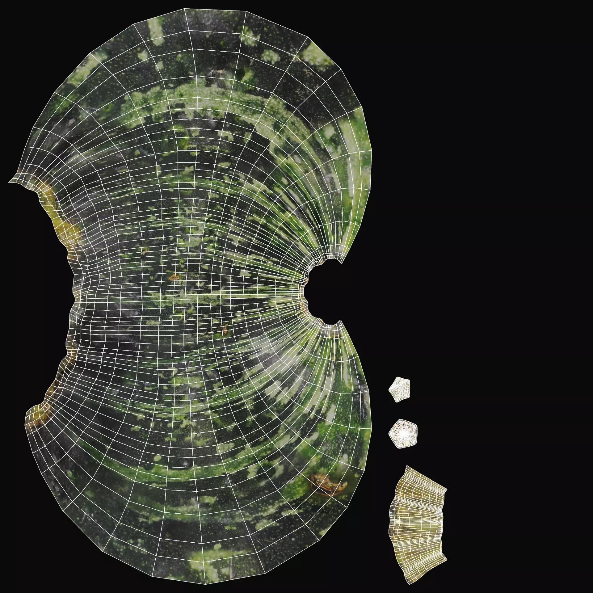 -Pumpkins- 3D model_13