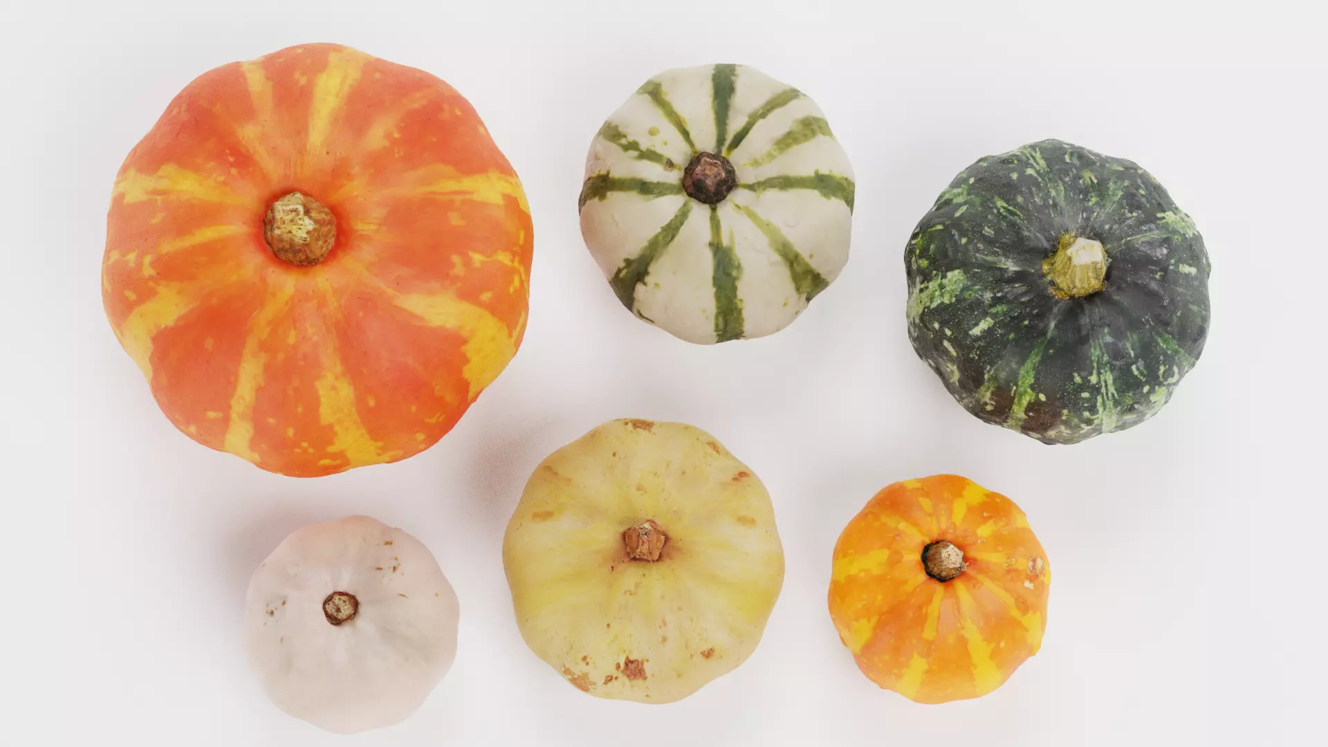 -Pumpkins- 3D model_1