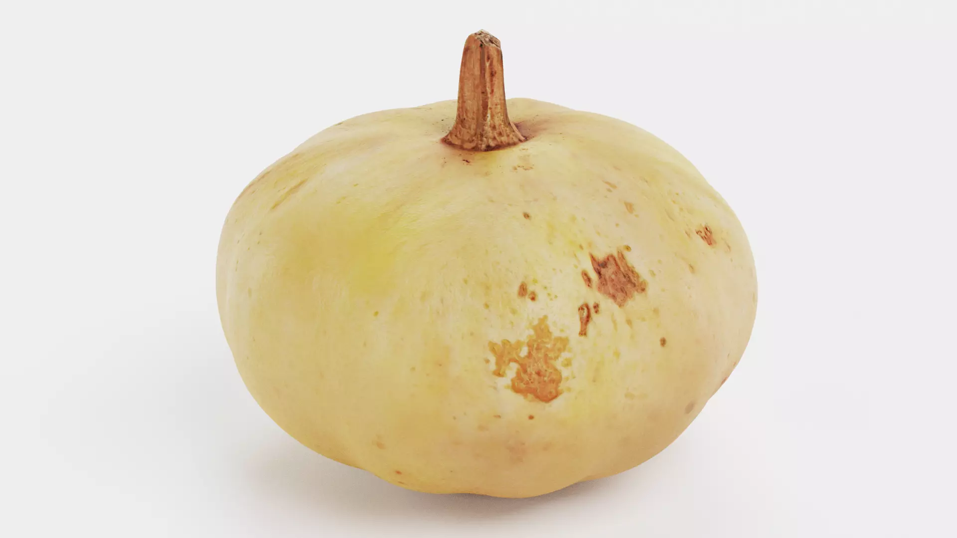 -Pumpkins- 3D model_11