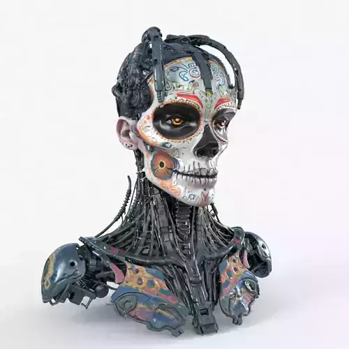 Cybernetic Humanoid Head