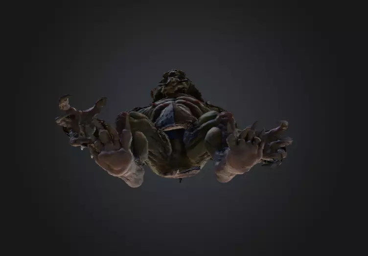 Plaguebound Ravager Low-poly 3D model_16