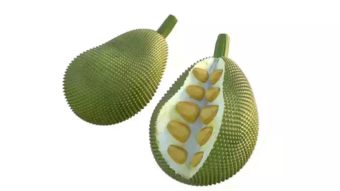 jackfruit Low-poly 3D model 2