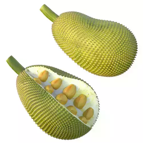 jackfruit Low-poly 3D model 7