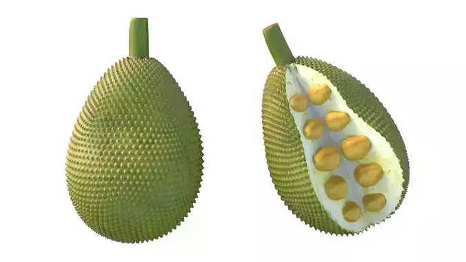 jackfruit Low-poly 3D model 5