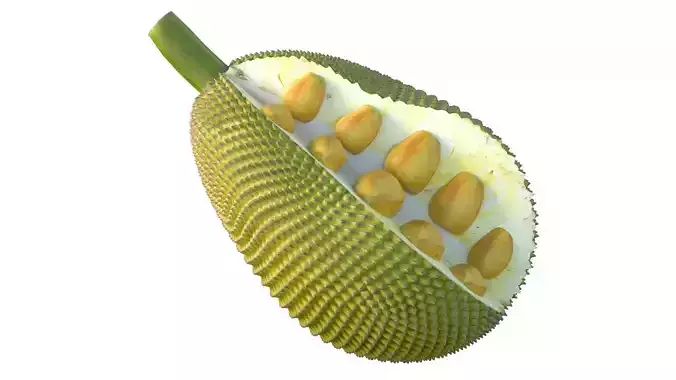 jackfruit Low-poly 3D model 3