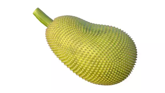 jackfruit Low-poly 3D model 4
