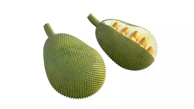 jackfruit Low-poly 3D model