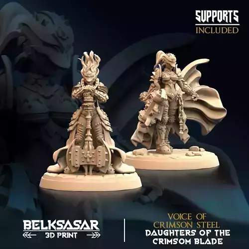 Paladin Voice of Crimson Steel Set x2