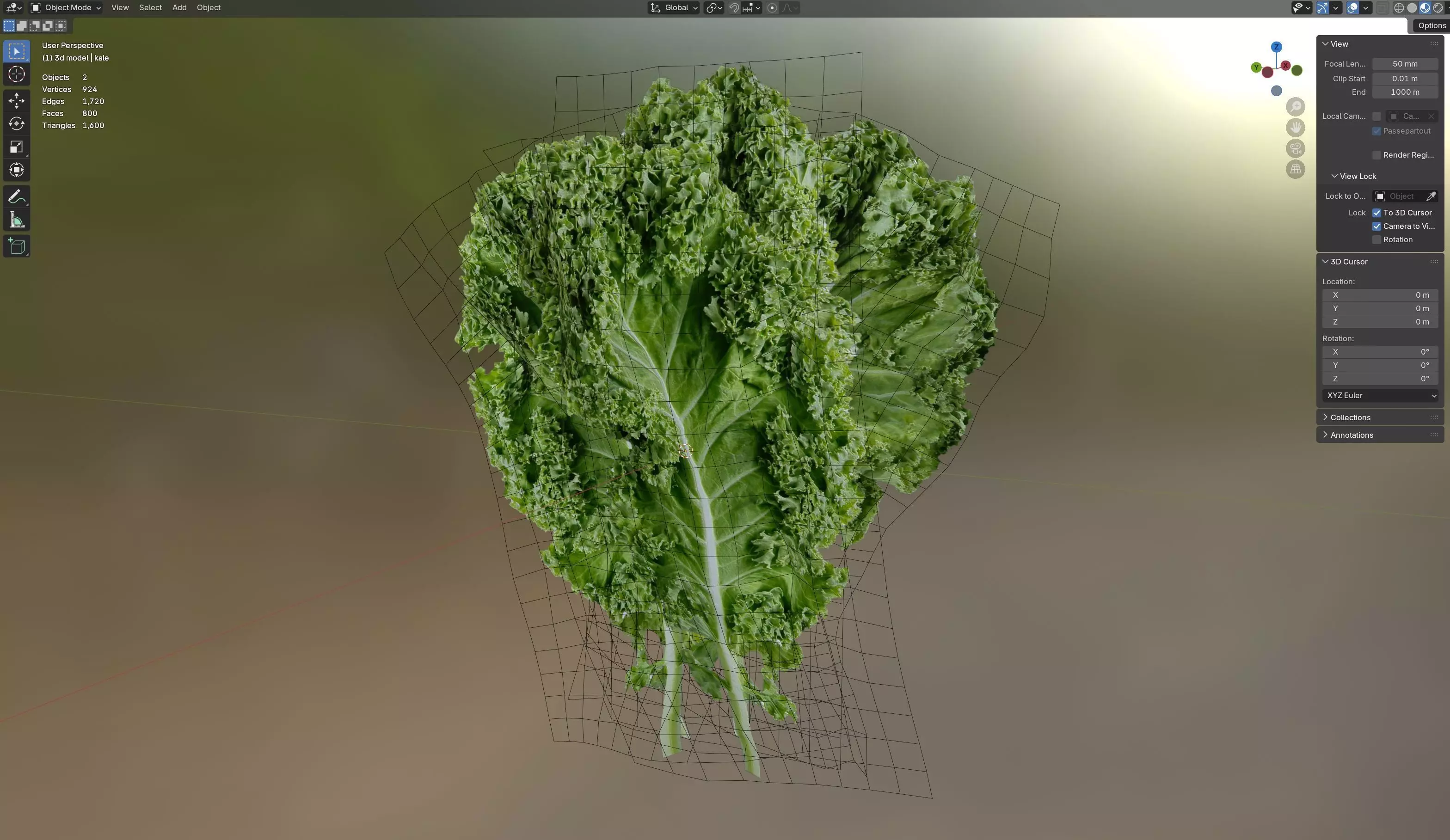 Kale leaf Low-poly 3D model_8