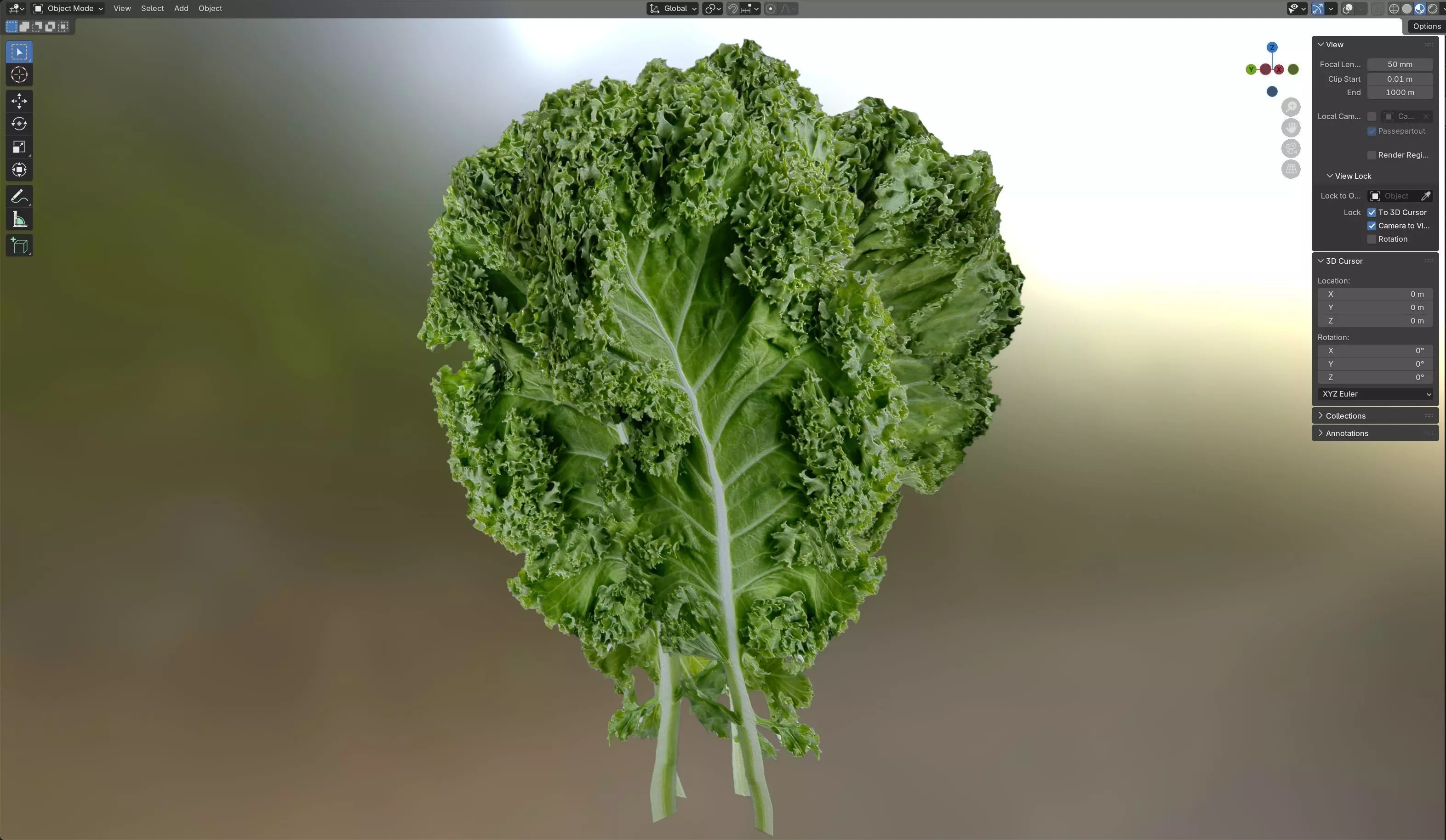 Kale leaf Low-poly 3D model_5