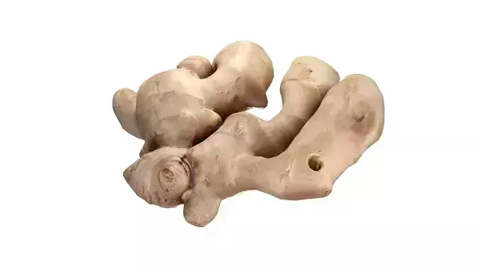 Ginger v2 Low-poly 3D model 3