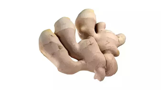 Ginger v2 Low-poly 3D model 4