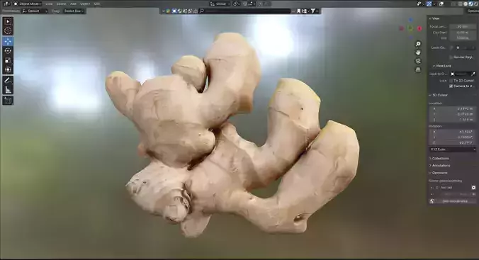Ginger v2 Low-poly 3D model 7