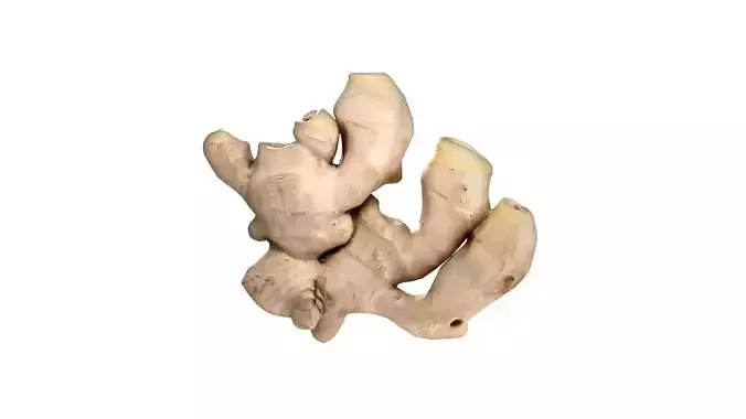 Ginger v2 Low-poly 3D model 2