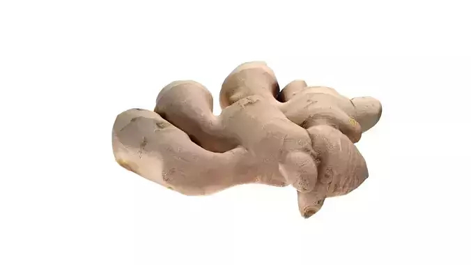 Ginger v2 Low-poly 3D model 5