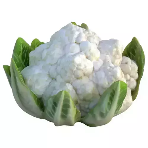 Cauliflower vegetable  Low-poly 3D model 7