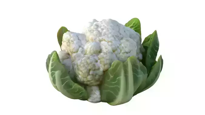 Cauliflower vegetable  Low-poly 3D model 2