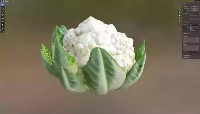 Cauliflower vegetable  Low-poly 3D model 6