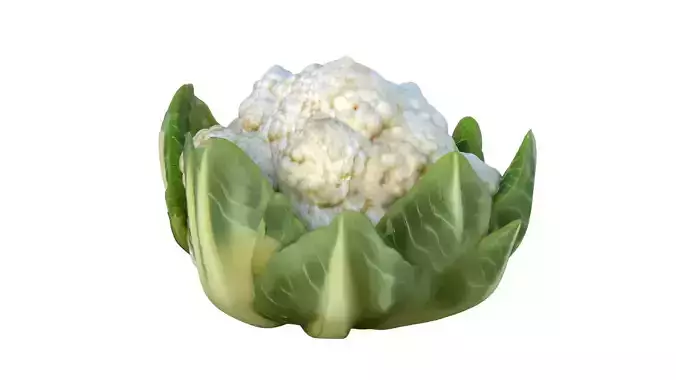 Cauliflower vegetable  Low-poly 3D model 3