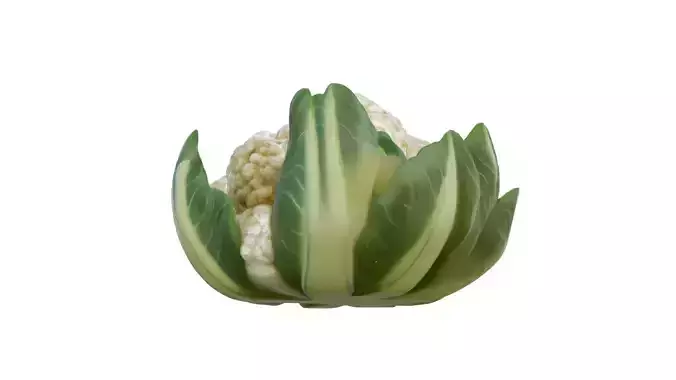 Cauliflower vegetable  Low-poly 3D model 5