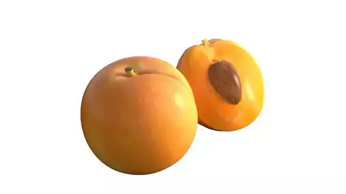 Apricot fruit 