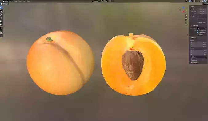 Apricot fruit  Low-poly 3D model 6