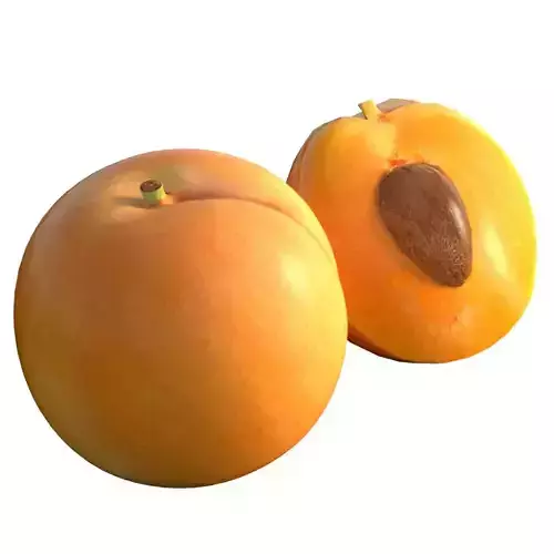 Apricot fruit  Low-poly 3D model 7