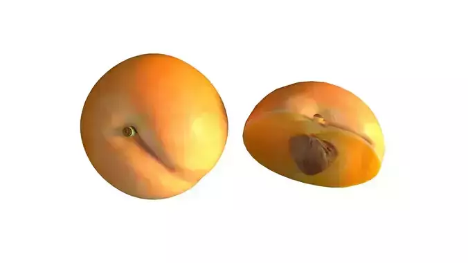 Apricot fruit  Low-poly 3D model 4