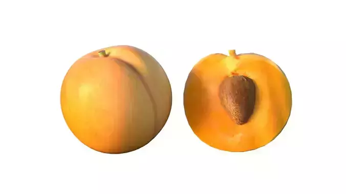 Apricot fruit  Low-poly 3D model 2