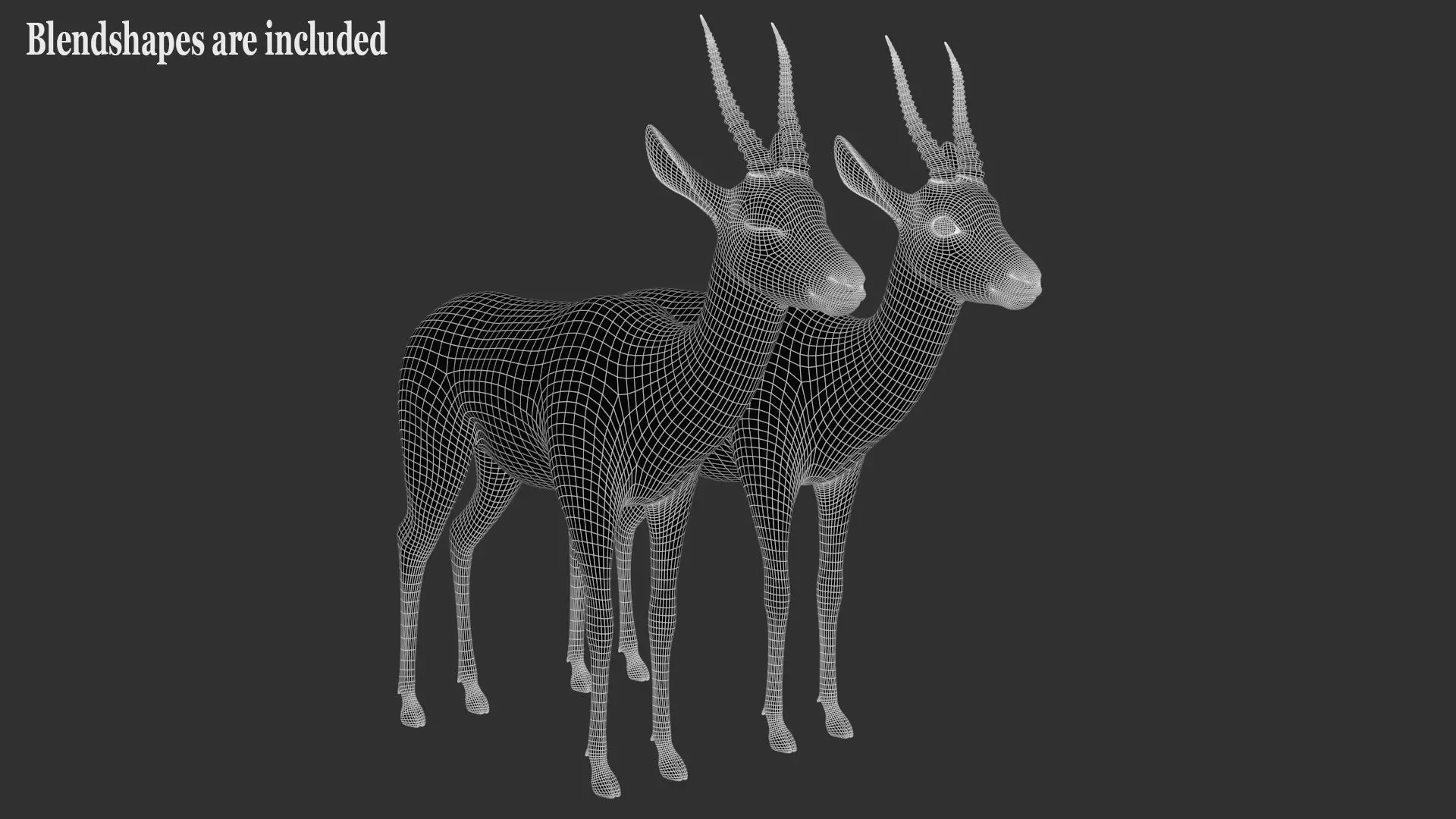 Gazelle Xgen 3D model_21