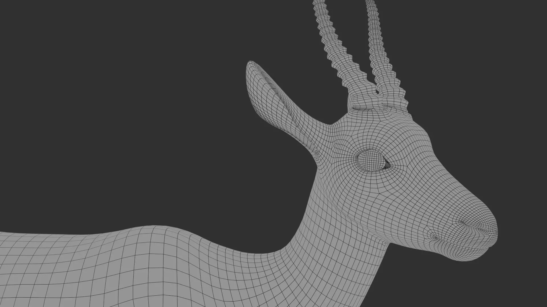 Gazelle Xgen 3D model_15