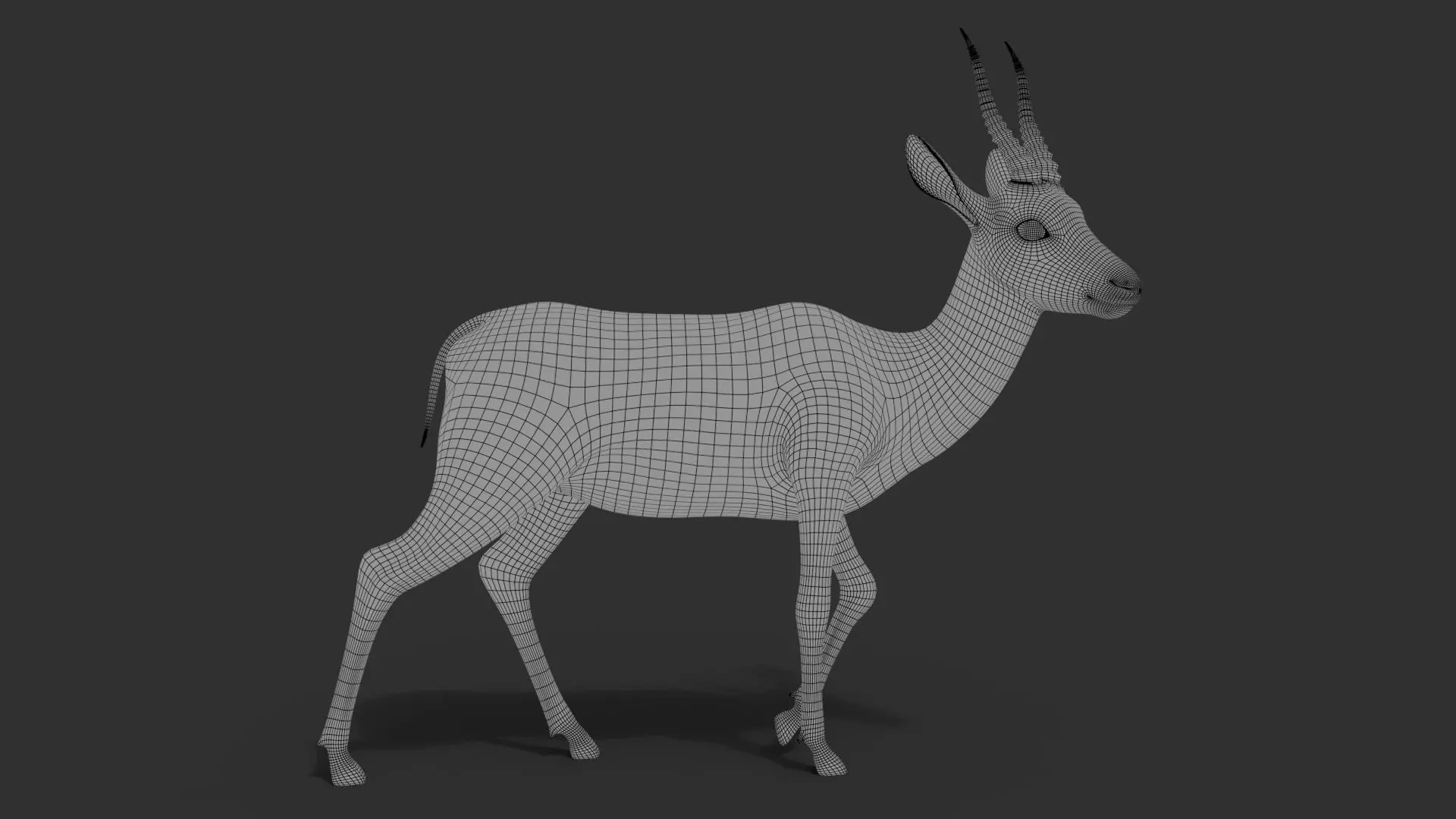 Gazelle Xgen 3D model_13
